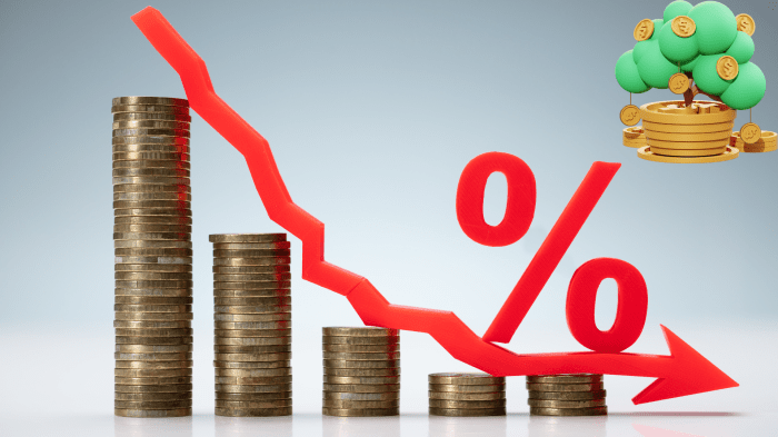 Business loans with low interest rates