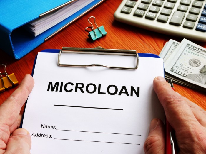 Microloan loan