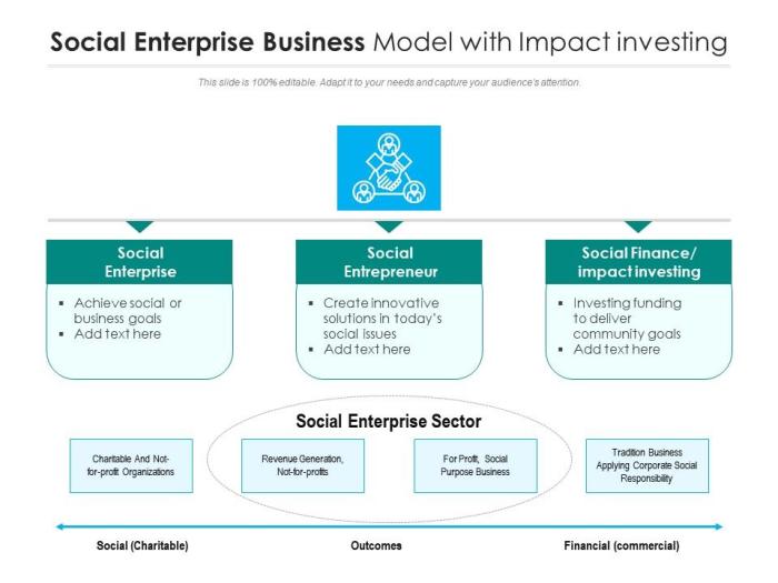 Social model enterprise business solutions models types